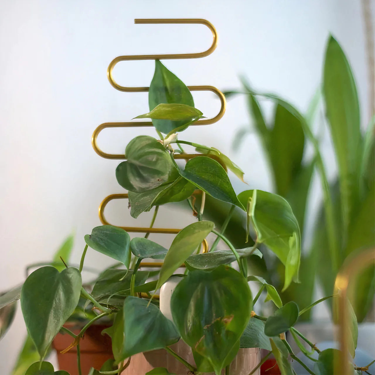 Treliça para Plantas