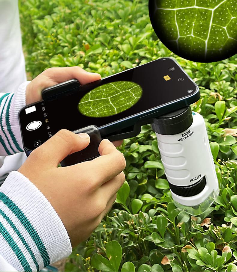 Microscópio Infantil Com Suporte para Celular - Azhul