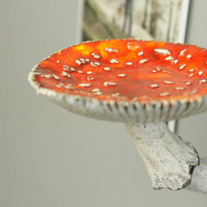 Cogumelo Amanita