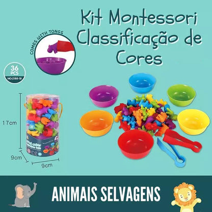 Kit Montessori - Classificação de Cores - Azhul